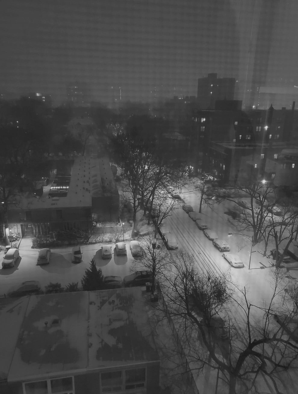 Hyde Park, Chicago — Chicago, the winter before everything changed