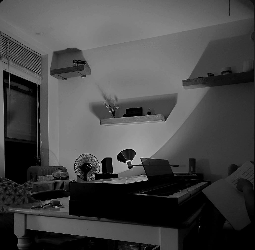 Hyde Park, Chicago — A quiet apartment in Hyde Park